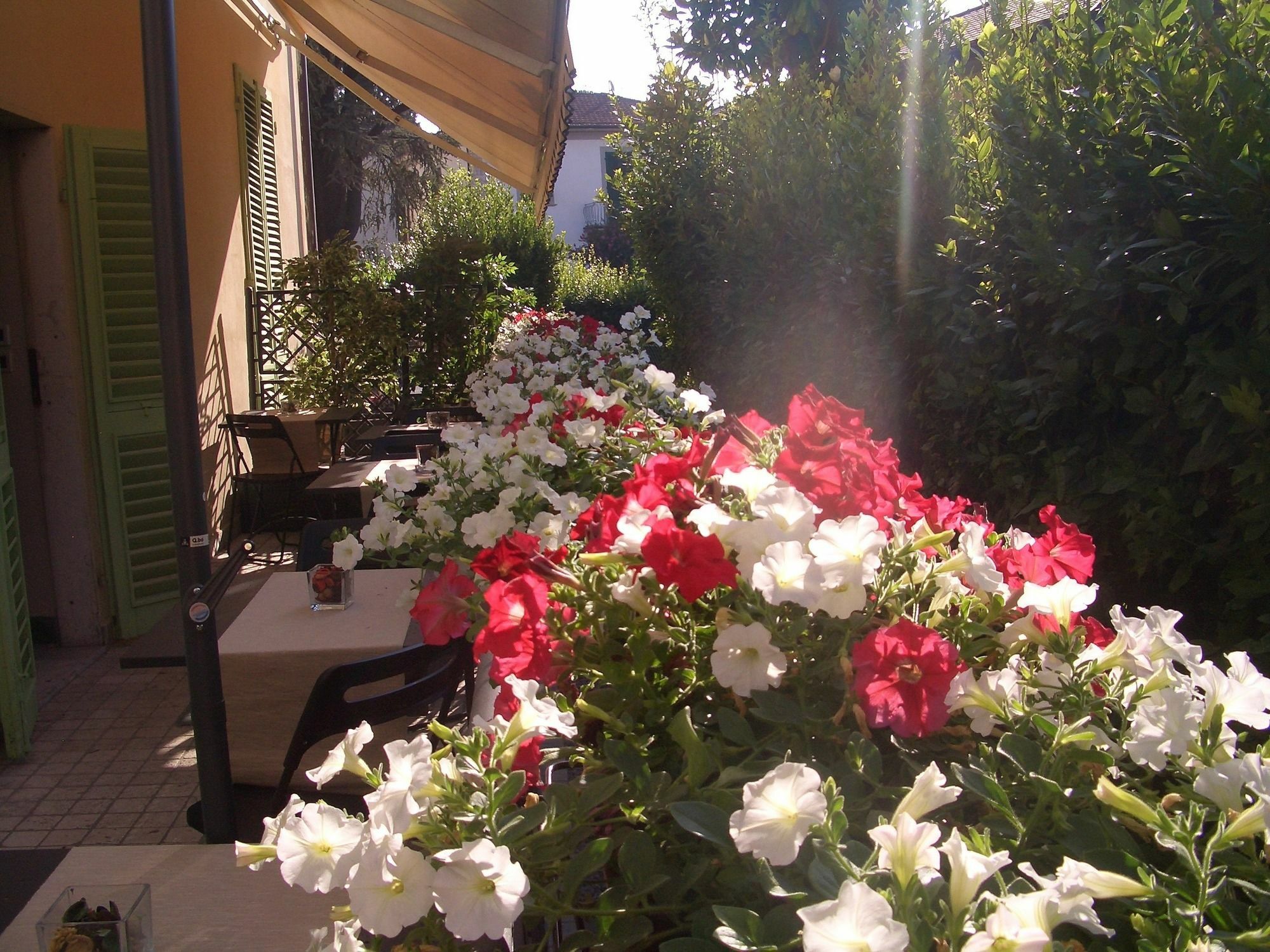 Lucca Relais Bed & Breakfast ภายนอก รูปภาพ
